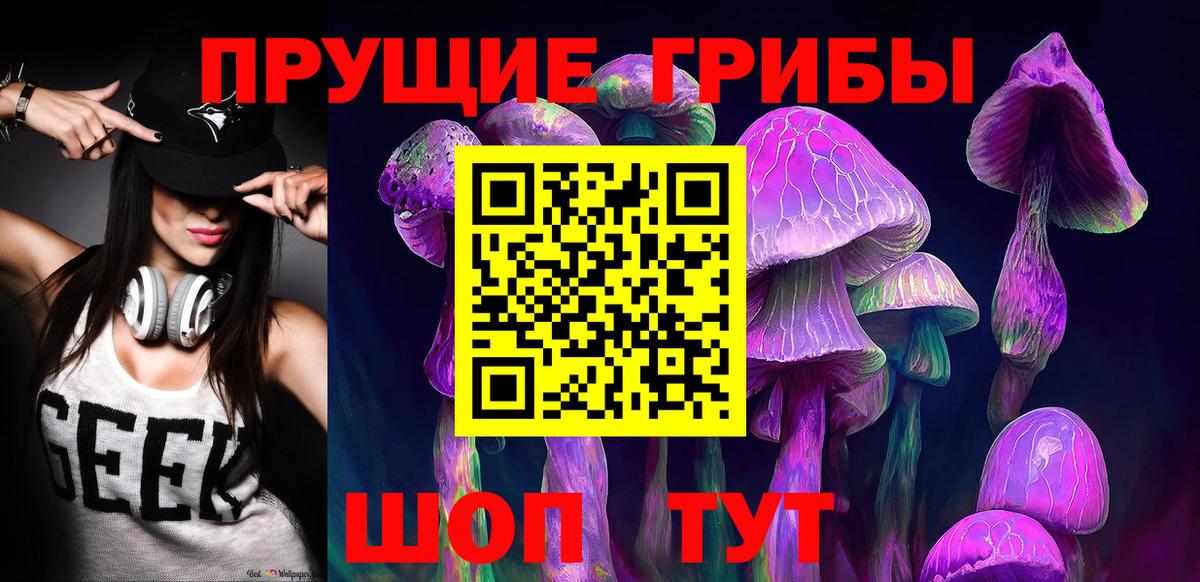 Галлюциногенные грибы Psilocybine cubensis  Вход с VPN  Сунжа  цена   Галлюциногенные грибы прущие грибы 