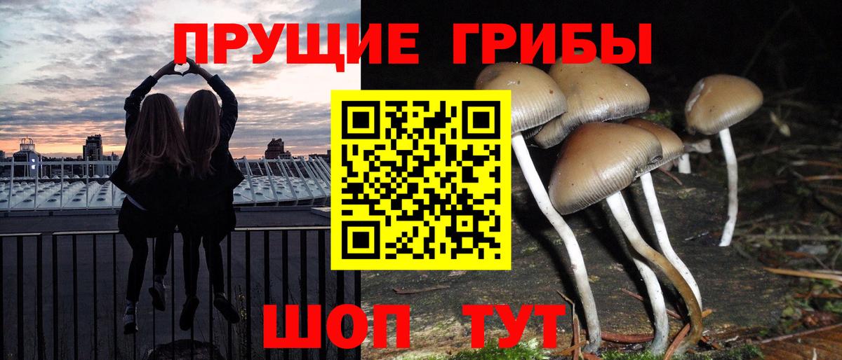 Псилоцибиновые грибы мухоморы Сунжа