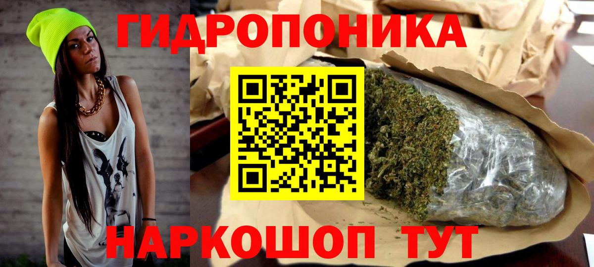 Марихуана индика Сунжа